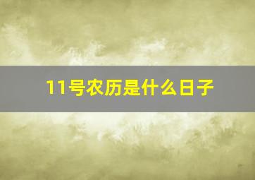 11号农历是什么日子