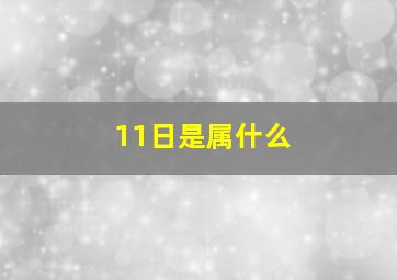 11日是属什么