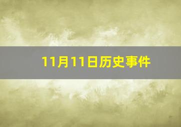 11月11日历史事件