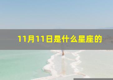 11月11日是什么星座的