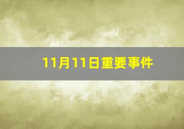 11月11日重要事件