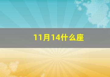 11月14什么座