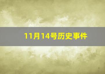 11月14号历史事件