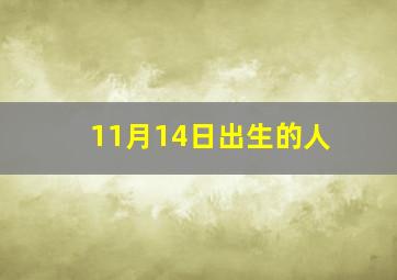 11月14日出生的人