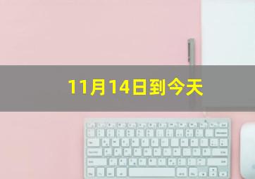 11月14日到今天