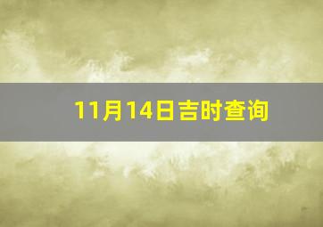 11月14日吉时查询