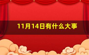 11月14日有什么大事