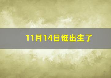 11月14日谁出生了