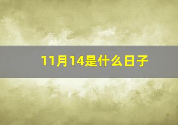 11月14是什么日子