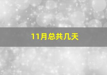 11月总共几天