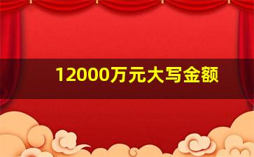 12000万元大写金额