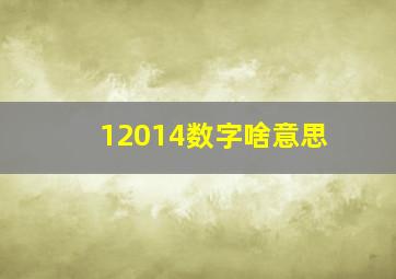 12014数字啥意思