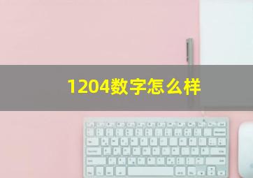 1204数字怎么样