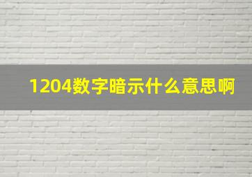 1204数字暗示什么意思啊