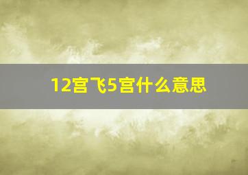 12宫飞5宫什么意思