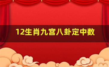 12生肖九宫八卦定中数