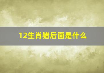 12生肖猪后面是什么