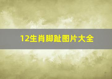 12生肖脚趾图片大全