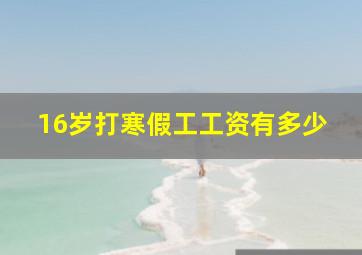 16岁打寒假工工资有多少