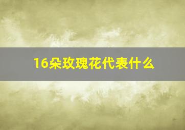 16朵玫瑰花代表什么