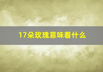 17朵玫瑰意味着什么