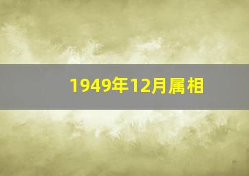 1949年12月属相