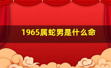 1965属蛇男是什么命