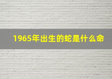 1965年出生的蛇是什么命