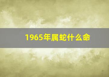 1965年属蛇什么命