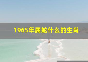 1965年属蛇什么的生肖