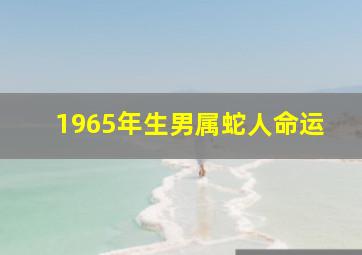 1965年生男属蛇人命运