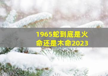 1965蛇到底是火命还是木命2023