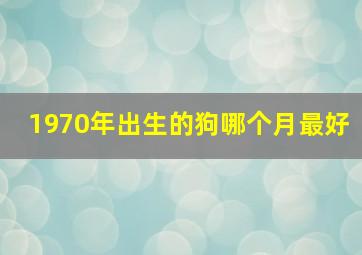 1970年出生的狗哪个月最好