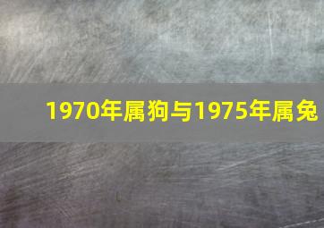 1970年属狗与1975年属兔