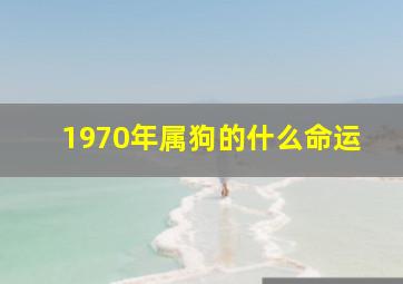 1970年属狗的什么命运