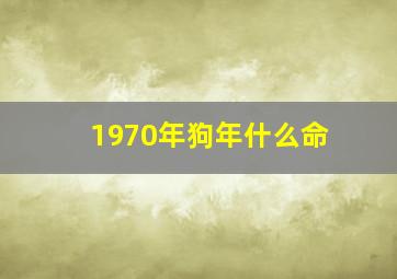 1970年狗年什么命