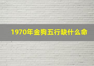 1970年金狗五行缺什么命