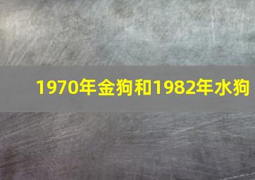 1970年金狗和1982年水狗