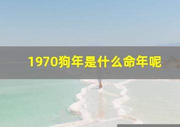 1970狗年是什么命年呢