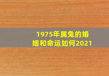 1975年属兔的婚姻和命运如何2021