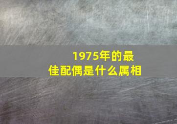 1975年的最佳配偶是什么属相