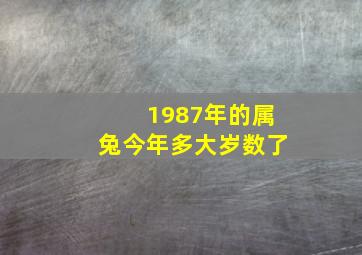 1987年的属兔今年多大岁数了