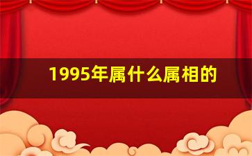 1995年属什么属相的