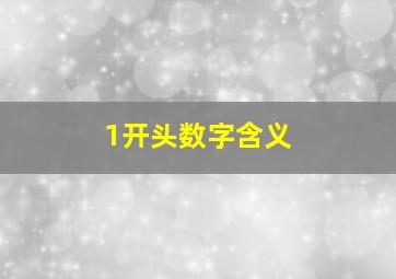 1开头数字含义