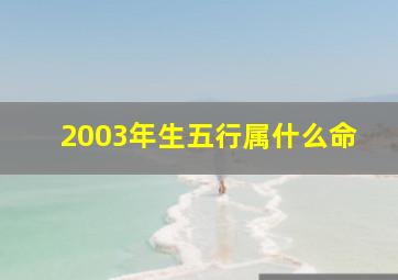 2003年生五行属什么命