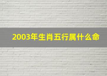 2003年生肖五行属什么命