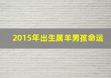 2015年出生属羊男孩命运