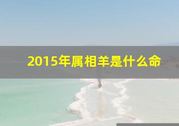 2015年属相羊是什么命