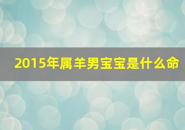 2015年属羊男宝宝是什么命