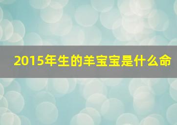 2015年生的羊宝宝是什么命